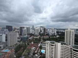 The Ritz-Carlton  (D9), Condominium #569753521